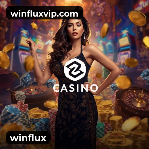 Instruções Download winflux